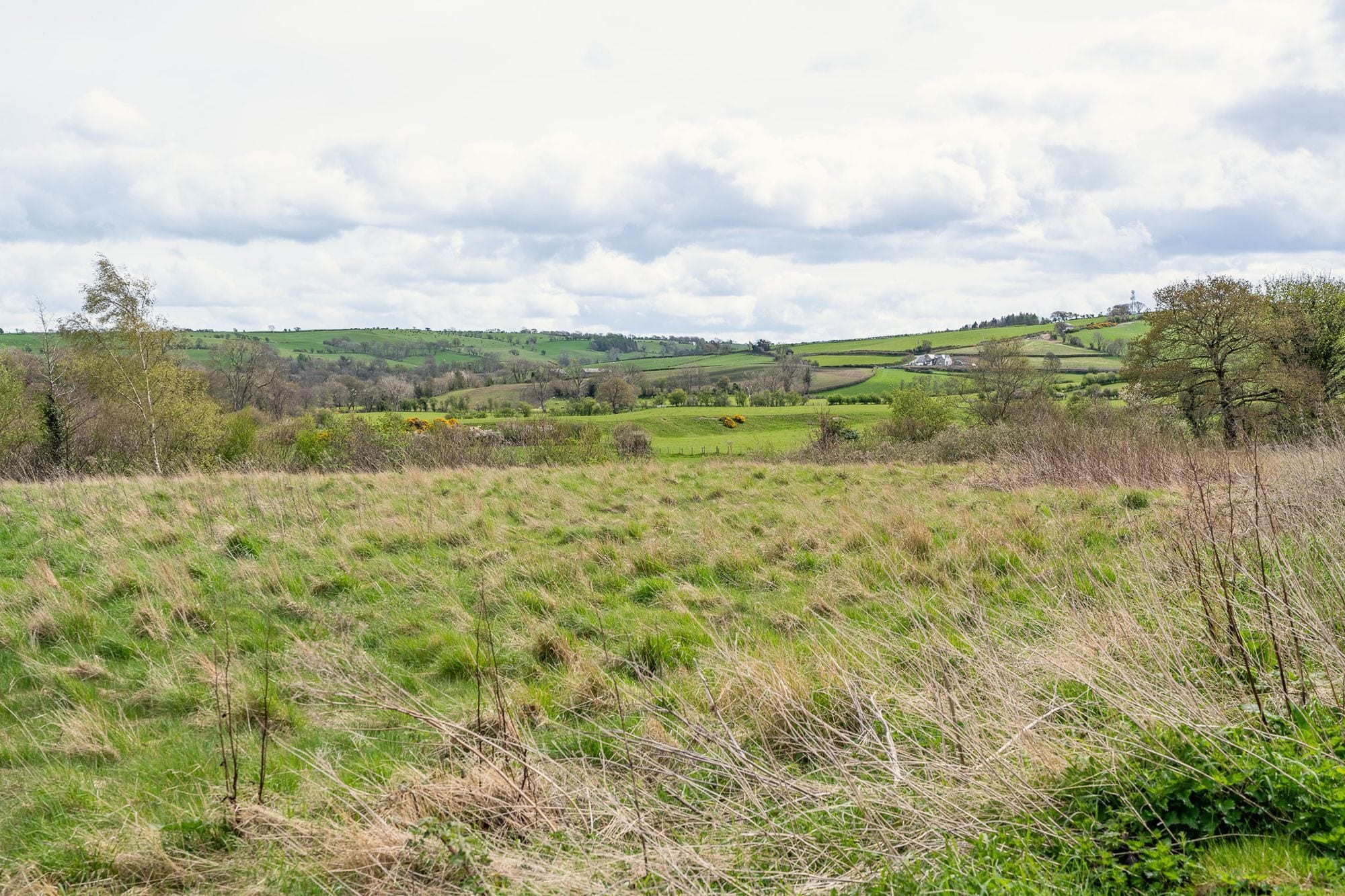 Glan Collen, Llangernyw, LL22